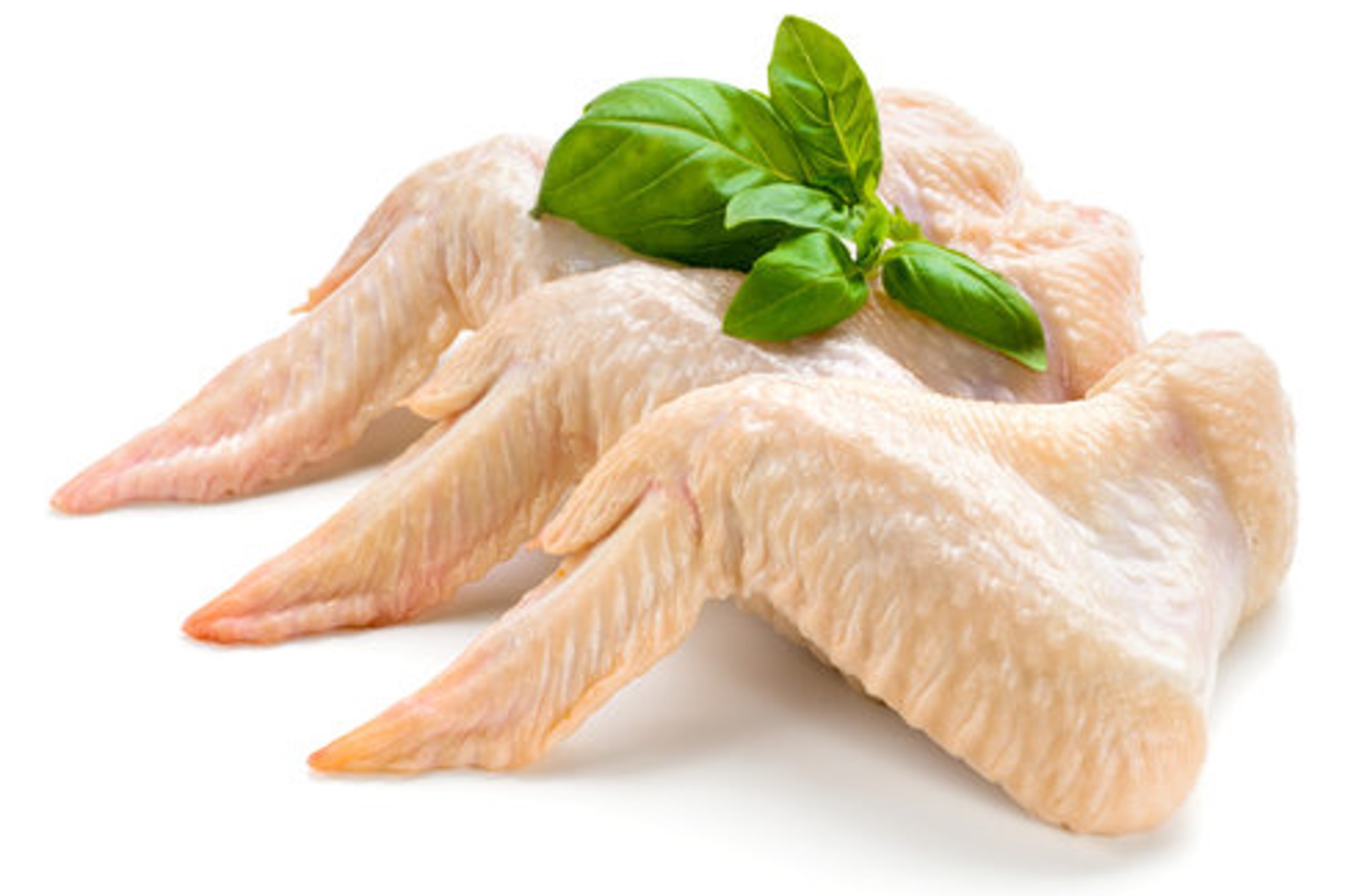 Chicken Wing